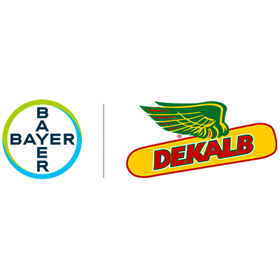 Bayer