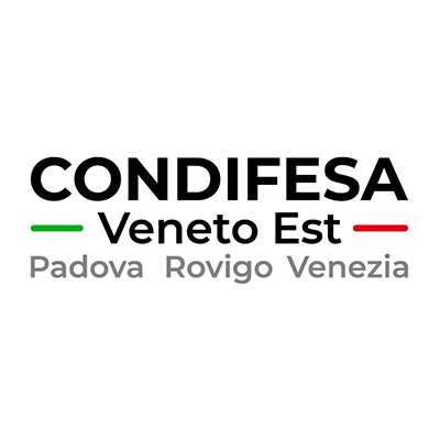 Condifesa
